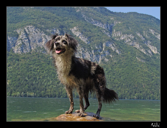 bohinj06.jpg