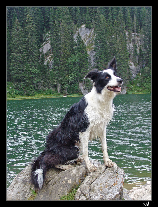 bohinj18.jpg