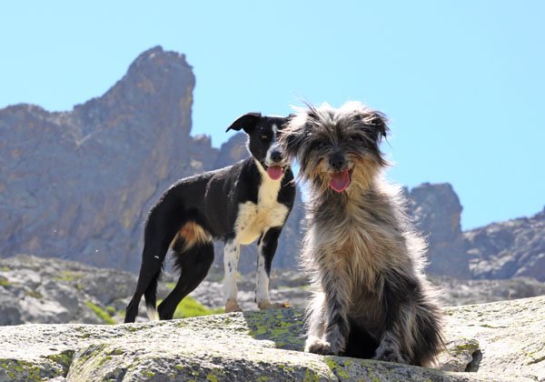 corsica17.jpg