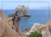 corsica39_small.jpg
