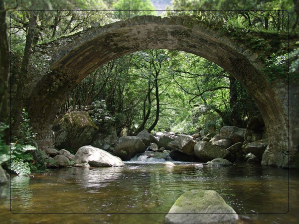 corsica51.jpg