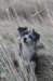december0914_small.jpg