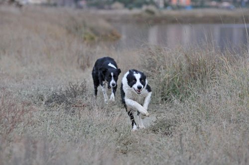 december0916.jpg