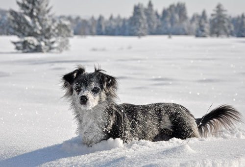 december0925.jpg
