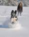 december0931_small.jpg