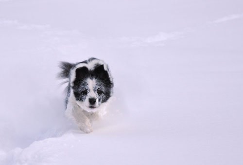 december0935.jpg