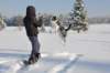 december0937_small.jpg