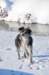 december0943_small.jpg