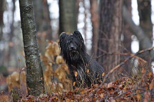 december0950.jpg