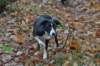 december0954_small.jpg
