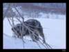 dsc06120_small.jpg