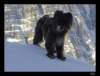 dsc06148_small.jpg