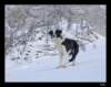 dsc06181_small.jpg