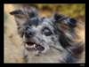 dsc07030_small.jpg