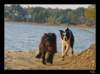dsc07055_small.jpg