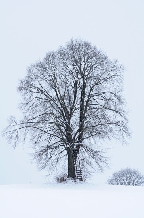 jan0924.jpg