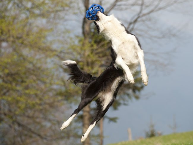 maj1022.jpg