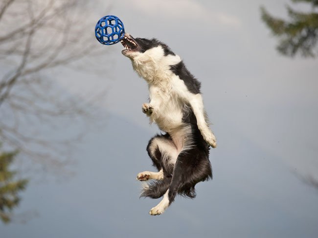 maj1031.jpg