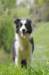 spetmaj0035_small.jpg