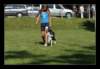 img01_small.jpg
