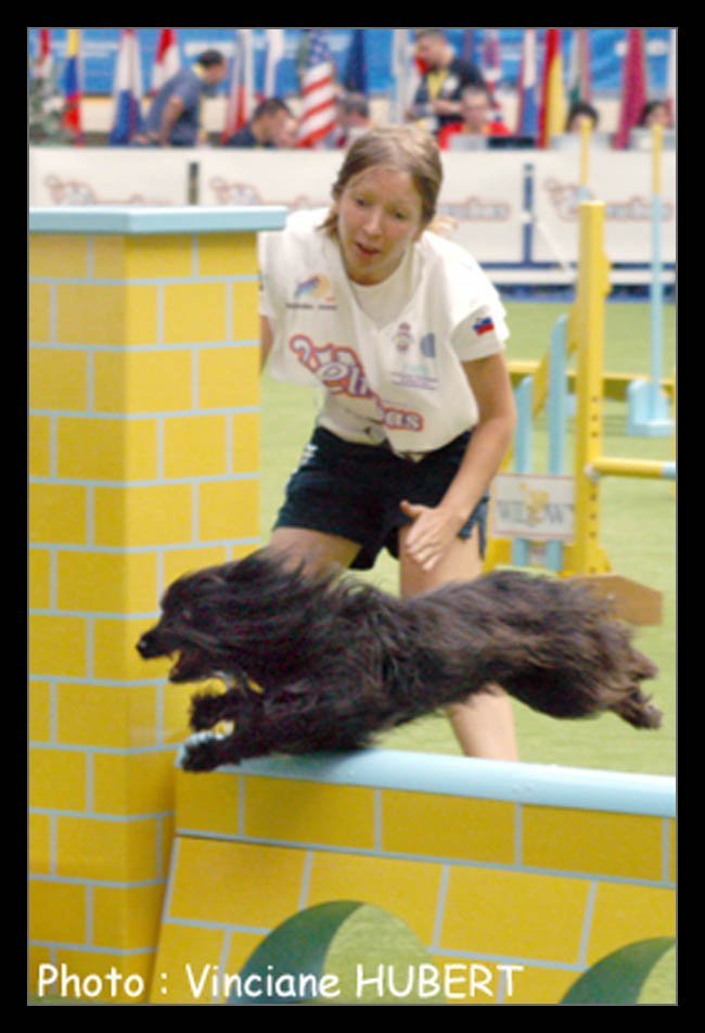 agi08.jpg