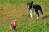krim580_small.jpg