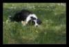q0897_small.jpg