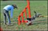 fr36_small.jpg