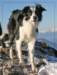 kepa_jan102_small.jpg
