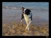 dsc06440_small.jpg