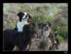 dsc06448_small.jpg