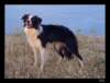 dsc06674_small.jpg