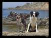 dsc06680_small.jpg