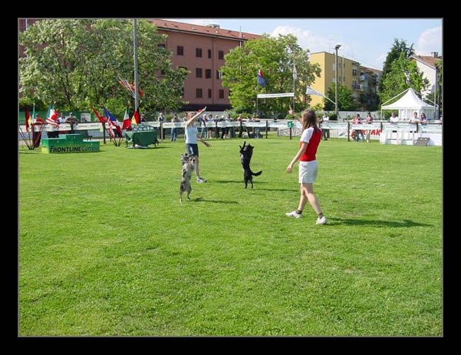 triki09.jpg