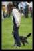 triki13_small.jpg