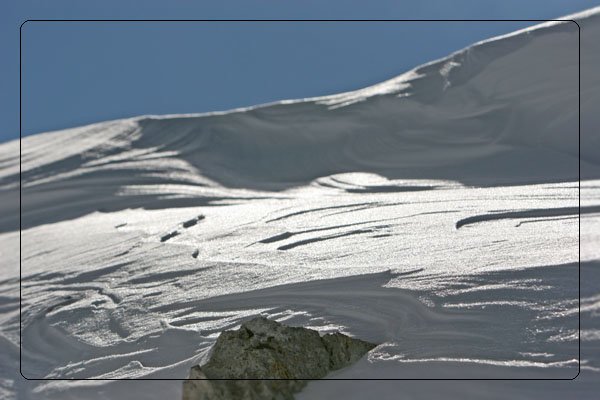vajnez_feb125.jpg