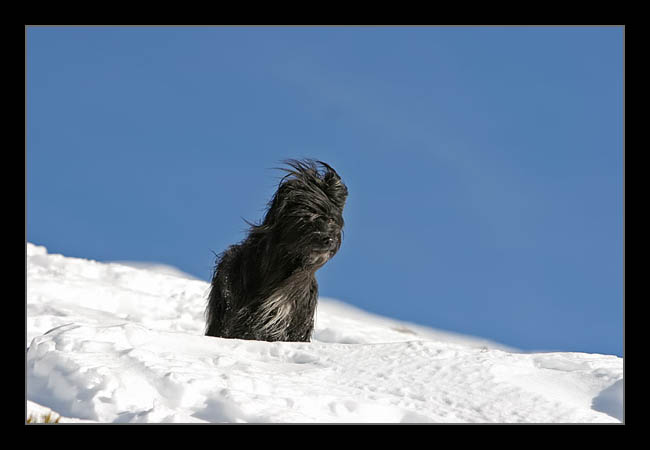 winter06.jpg