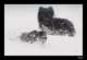 winter14_small.jpg