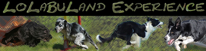 LoLaBu Land Experience